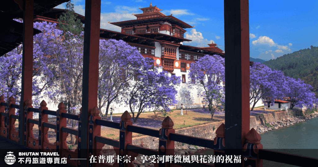 這張圖片展現不丹普那卡宗（Punakha Dzong）在藍天白雲下的壯麗景觀，寺廟被盛開的藍花楹（Jacaranda）圍繞，花海映襯著潔白宗堡。畫面從橋上拍攝，河畔微風吹拂，花瓣隨風飄落，為這座歷史悠久的宗堡增添柔美色彩。結合山景、河流與花樹，充分表現出普那卡宗的寧靜、祥和與幸福祝福氛圍。