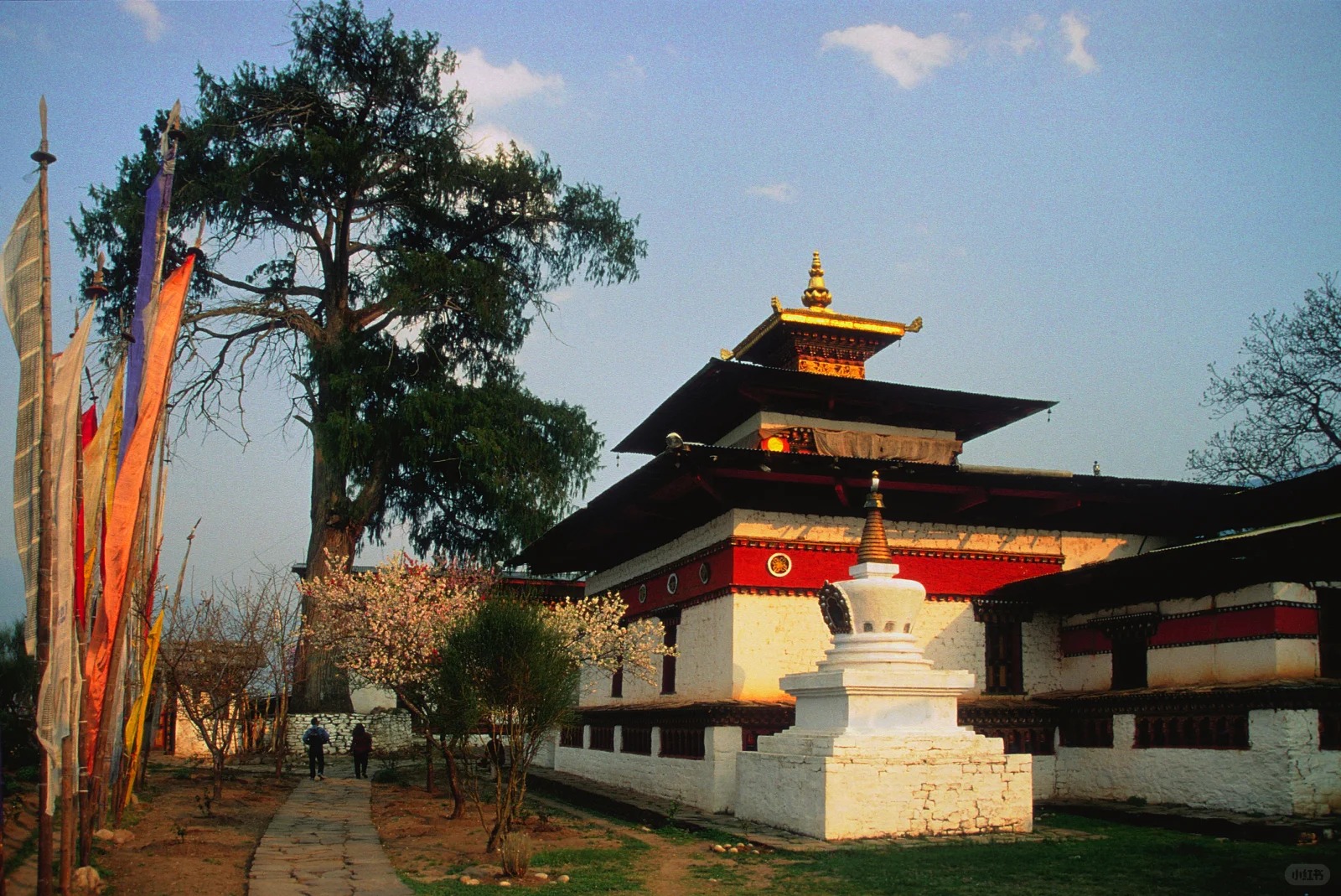 祈楚拉康 Kyichu Lhakhang 1 不丹阿拉亚旅游 来自小红书网页版